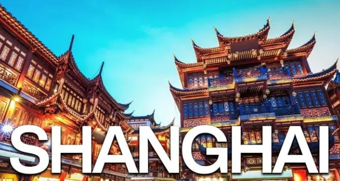 上海夜生活论坛里聊什么话题能炸出真共鸣？别扯虚的，这几类话题一抛一个准 🌃